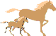 Ranch Pict